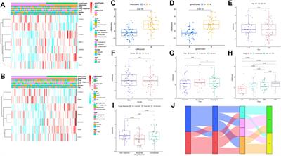 Identification of RNA N6-methyladenosine regulation in epilepsy: Significance of the cell death mode, glycometabolism, and drug reactivity